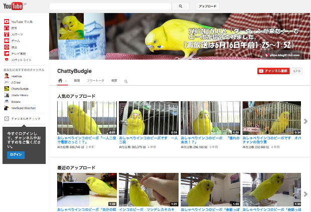 おしゃべりするインコのピーポちゃんのYouTubeチャンネル