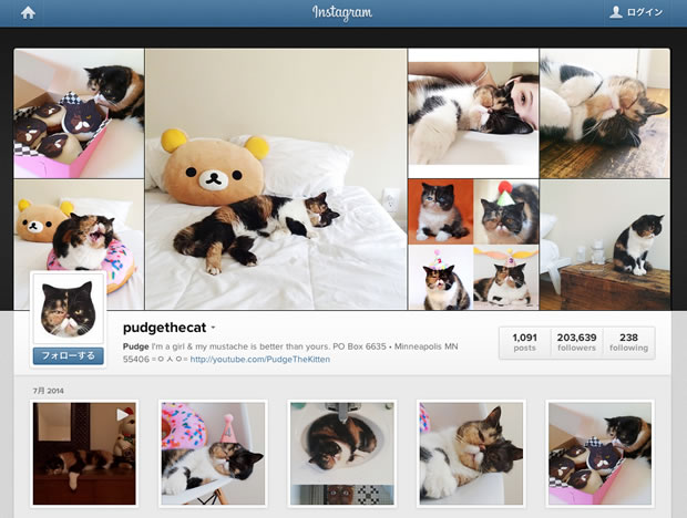 PudgeのInstagram