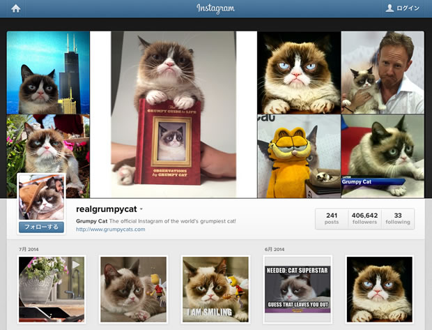 Grumpy CatのInstagram