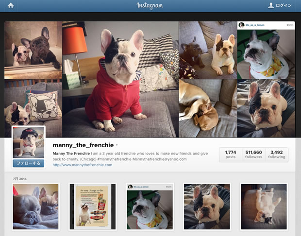 Manny The FrenchieのInstagram