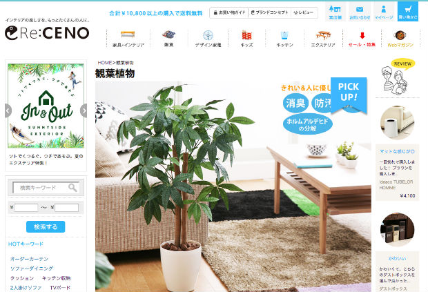 Re:CENOの観葉植物